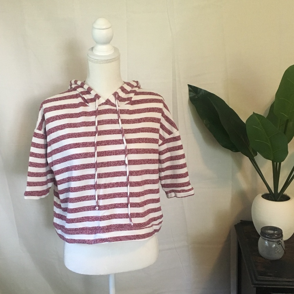 🍄 Paper Crane Striped Crop Hoodie 🍄